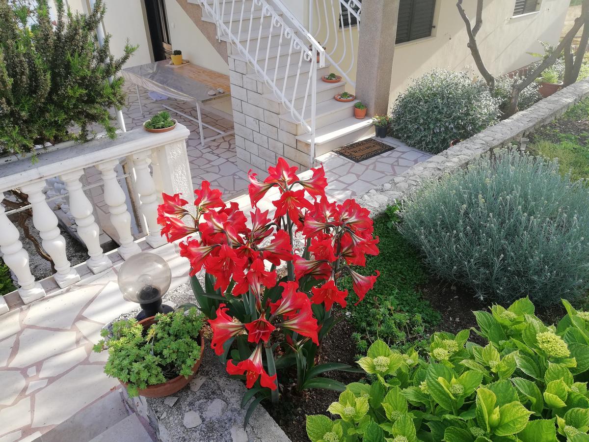 Apartment Cactus 多吉奥科如 外观 照片